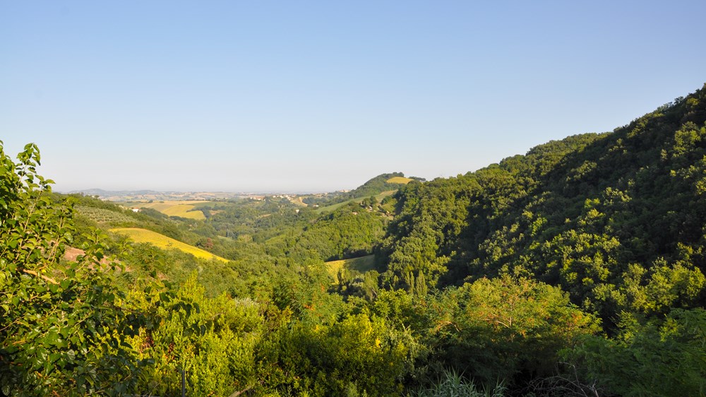 Blick vom Balkon aus