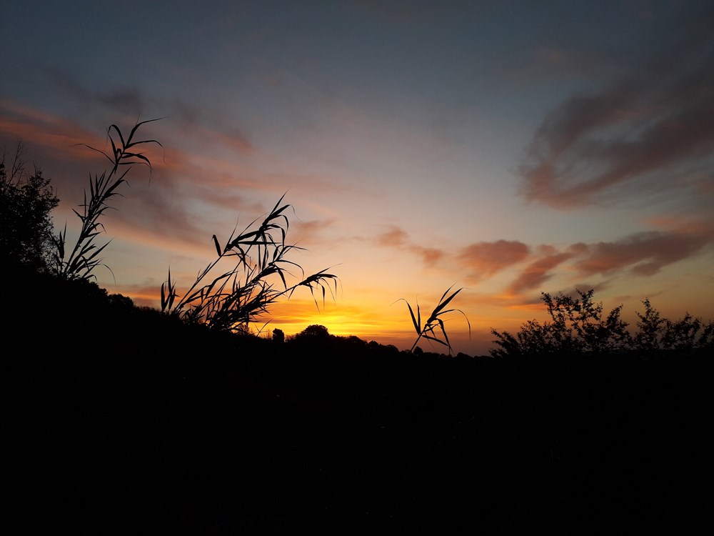 Sonnenaufgang - eine Naturschauspiel für welches unsere Gäste gerne früh aufstehen