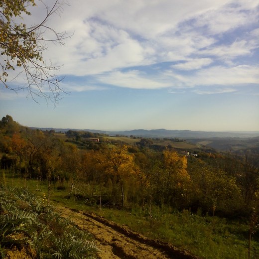 Traumhafte Aussichten